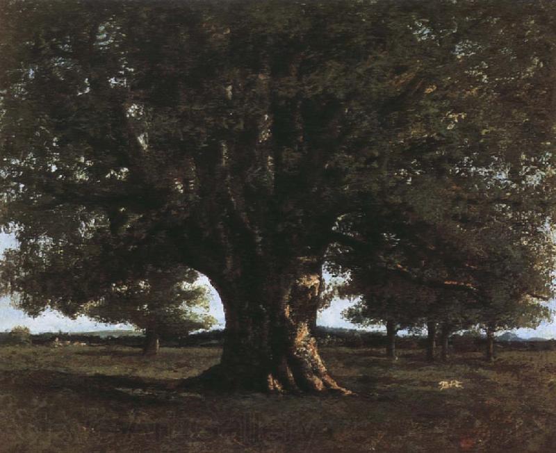 Gustave Courbet Tree Spain oil painting art